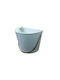 AGC Set 2 Ghivece Metalice 17x10.5x13.5cm