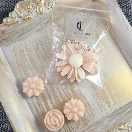 Wax Melts Μαργαρίτα 1 Stück Φράουλα