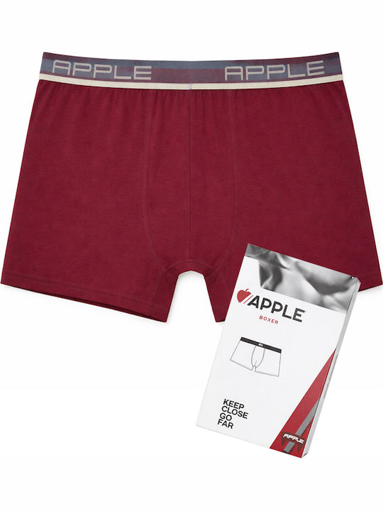 Apple Boxer Herren Boxershorts Bordeaux - Cherr...