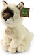 Rappa Plush Kitten 23 cm