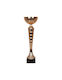 Tryumf Silver Trophy Sports