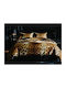 Makis Tselios Home Πάπλωμα Υπέρδιπλο 240x250εκ. 140