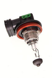 Maxgear Λάμπα H11 / PGJ19-2 Αλογόνου Maxgear Λάμπα H11 / PGJ19-2 Αλογόνου