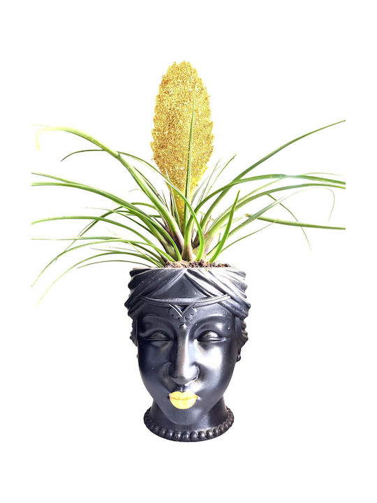 Τηλανσία Gold Glitter Keramikblumentopf Gesicht Höhe 30cm