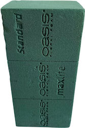 Oasis Grün Blumenbindeschwamm 23 X 11 X7.5 cm