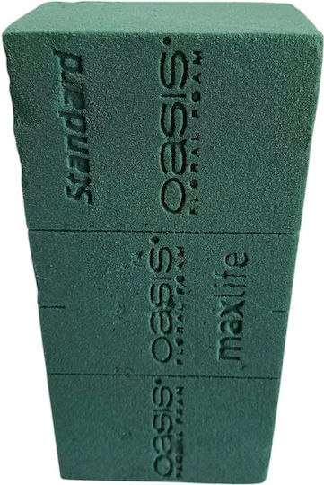 Oasis Grün Blumenbindeschwamm 23 X 11 X7.5 cm
