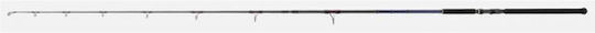 Tailwalk Καλάμι Ψαρέματος για Shore Jigging 3.04m 140gr