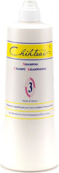 Chihtsai Shampoo No3 Purify & Renew Itchy Scalp 1l