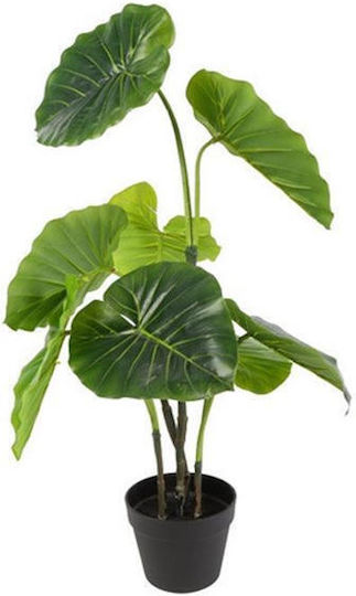 Alocasia Alocasia в саксия 90см Atmosphera