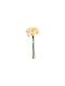 Buchet De Narcise Din Flori Artificiale Albe Atmosphera