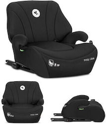 Lorelli Pyxis i-Size 22-36 kg mit Isofix Black