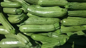 Geniki Fytotechniki Athinon Seeds Pumpkinς Zucchini for Blossom 100pcs