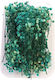 Dried Gypsophila Turquoise 15gr