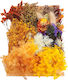 Flori Uscate Mix Galben Deschis