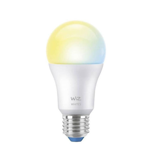 WiZ Smart Λάμπα LED για Ντουί E27 και Σχήμα A60 Ρυθμιζόμενο Λευκό 1521lm Dimmable
