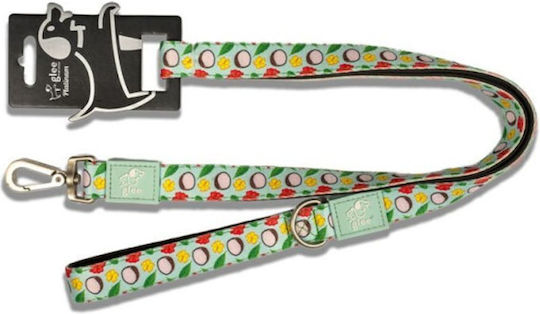 Glee Dog Leash/Lead Strap in Turquoise color