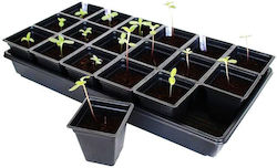 Seed Trays X 5pcs Start Your Plants