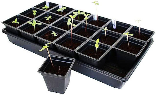Seed Trays X 5pcs Start Your Plants
