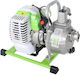 Bass Polska Pompa de apă de suprafață electrică 1.7hp