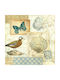 Set 2 Cadre Din Lemn 2 Modele Dimensiune 30*30*3cm Kd-208