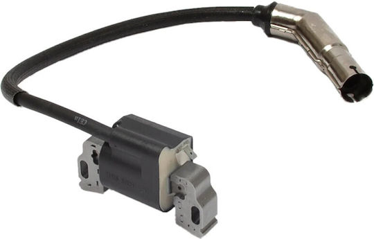 Electronic Genuine Briggs & Stratton 21r6-21r8-31p6-31r7-31r9-31s9-33r7 595304