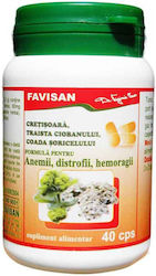 Favisan Cretisoara 40 Capsule
