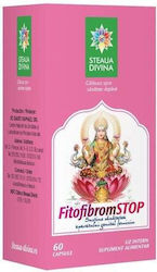 Steaua Divina Fitofibromstop 500mg 60 κάψουλες Steaua Divina Fitofibromstop 500mg 60 κάψουλες