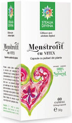 Steaua Divina Menstrofit Cu Vitex 60 Capsule Steaua Divina Menstrofit Cu Vitex 60 Capsule
