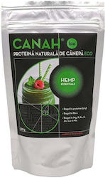 Canah Organic Hemp Protein Powder 300gr Canah Organic Hemp Protein Powder 300gr