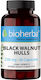 Bioherba Black Walnut Hulls 250мг 60 капси