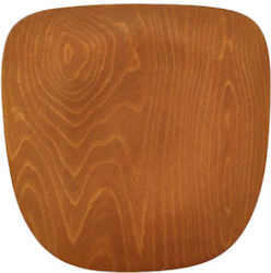 Karekla by Fragkoulakis Metallic Seat 39x39x1.8cm Brown