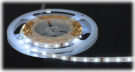LED Strip 12V Cold White Light 5m