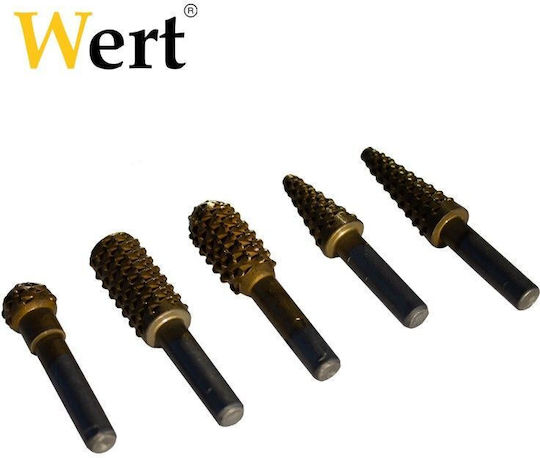 Drehbare Raspeln Holz 5 Stück Wert 9015