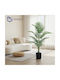 Medrelaxhome Decorative Artificial Palm Tree Plant H140cm