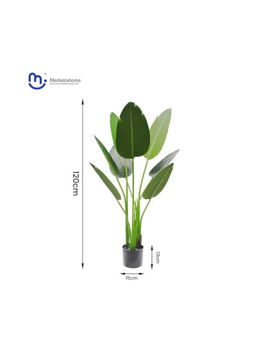 Medrelahome Διακοσμητικό Τεχνητό Φυτό Στρελίτσια (Strelitzia) h120cm
