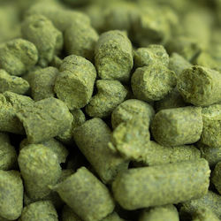 Herkules 15.1%
