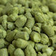 Fuggle 3.9%