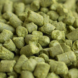 Cascade 4.9%