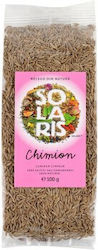 Solaris Plant Kreuzkümmel 100g