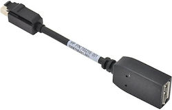 HP 703216-001 mini DisplayPort male to mini DisplayPort female Converter