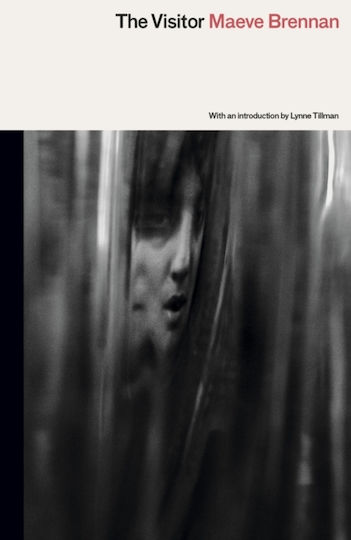 Visitor Ltd PB