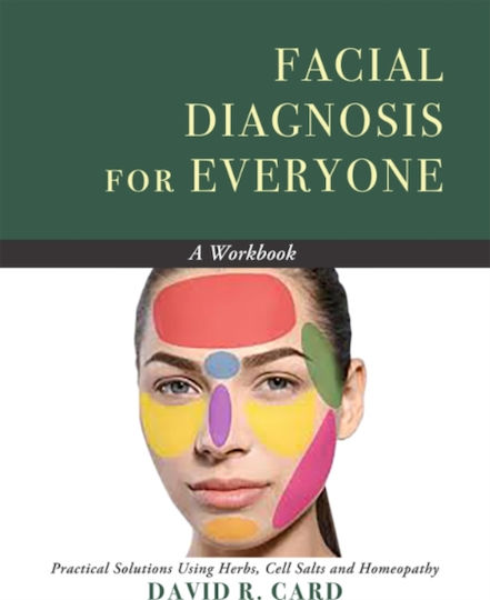 Facial Diagnosis For Everyone - A Workbook - Hohm Press,u.s. - Paperback / Softback