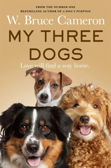 My Three Dogs - Pan Macmillan - Paperback / Softback