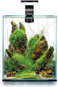 Aquael Shrimp Set Aquarium Fish Tank Capacity 320lt Includes Lighting Heater Filter 30x29x35cm Black
