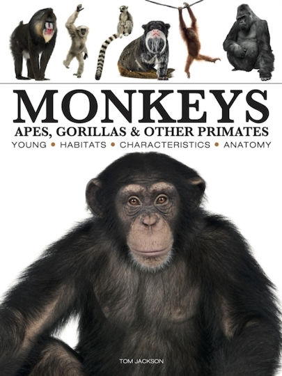 Monkeys - Amber Books Ltd - Paperback / Softback