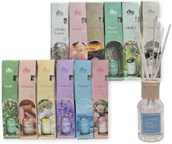 TnS Diffusor (Verschiedene Parfums) 100ml TnS Diffusor (Verschiedene Parfums) 100ml