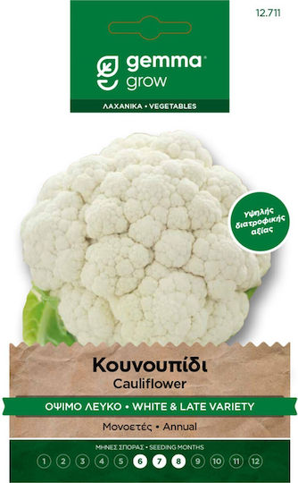 Blumenkohl Spät Weiß Saatgut Marzatico Gemma