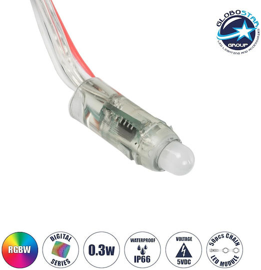 GloboStar LED Modul 5V 0,3W RGB 50 Stück 73720