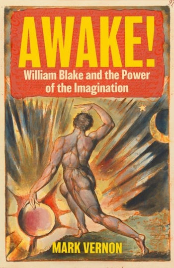 Awake! - C Hurst & Co Publishers Ltd - Hardback