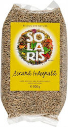 Solaris Plant Sikali Saatgut 500g